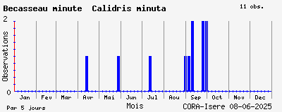 Observations saisonnires (par 5 jours) de Bécasseau minute Calidris minuta