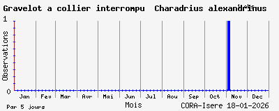 Observations saisonni�res (par 5 jours) de Gravelot &agrave; collier interrompu Charadrius alexandrinus