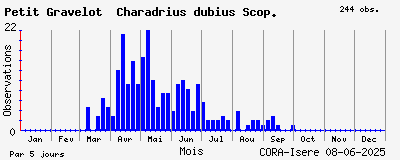 Observations saisonnires (par 5 jours) de Petit Gravelot Charadrius dubius Scop.