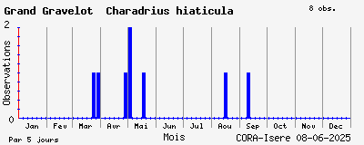 Observations saisonnires (par 5 jours) de Grand Gravelot Charadrius hiaticula