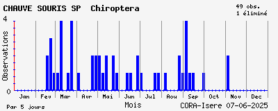 Observations saisonnires (par 5 jours) de CHAUVE SOURIS SP Chiroptera