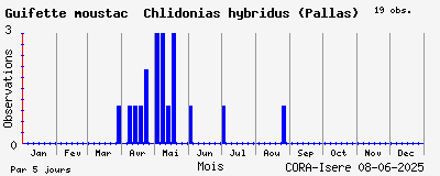 Observations saisonnires (par 5 jours) de Guifette moustac Chlidonias hybridus (Pallas)