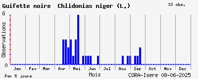 Observations saisonnires (par 5 jours) de Guifette noire Chlidonias niger (L.)