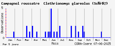 Observations saisonnires (par 5 jours) de Campagnol roussâtre Clethrionomys glareolus (Schrb.)