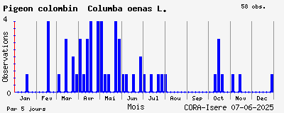 Observations saisonnires (par 5 jours) de Pigeon colombin Columba oenas L.