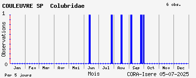 Observations saisonnires (par 5 jours) de COULEUVRE SP Colubridae