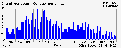 Observations saisonnires (par 5 jours) de Grand corbeau Corvus corax L.