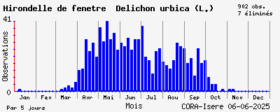 Observations saisonnires (par 5 jours) de Hirondelle de fenêtre Delichon urbica (L.)