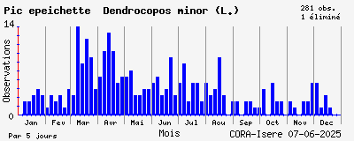 Observations saisonnires (par 5 jours) de Pic épeichette Dendrocopos minor (L.)