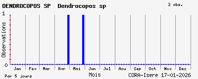 Observations saisonni�res (par 5 jours) de DENDROCOPOS SP Dendrocopos sp