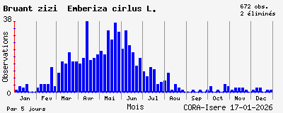 Observations saisonni�res (par 5 jours) de Bruant zizi Emberiza cirlus L.