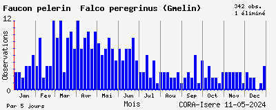 Observations saisonnires (par 5 jours) de Faucon pèlerin Falco peregrinus (Gmelin)