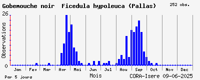 Observations saisonnires (par 5 jours) de Gobemouche noir Ficedula hypoleuca (Pallas)