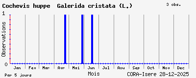 Observations saisonni�res (par 5 jours) de Cochevis hupp&eacute; Galerida cristata (L.)