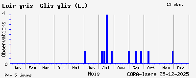 Observations saisonni�res (par 5 jours) de Loir gris Glis glis (L.)
