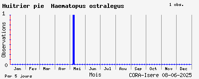 Observations saisonnires (par 5 jours) de Huîtrier pie Haematopus ostralegus