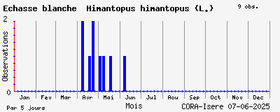 Observations saisonnires (par 5 jours) de Echasse blanche Himantopus himantopus (L.)