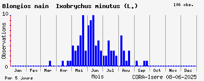 Observations saisonnires (par 5 jours) de Blongios nain Ixobrychus minutus (L.)