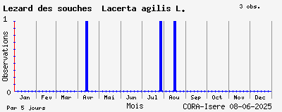 Observations saisonnires (par 5 jours) de Lézard des souches Lacerta agilis L.