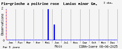 Observations saisonnires (par 5 jours) de Pie-grièche à poitrine rose Lanius minor Gm.