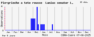 Observations saisonnires (par 5 jours) de Pie-grièche à tête rousse Lanius senator L.