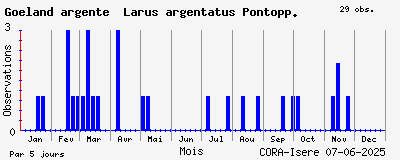 Observations saisonnires (par 5 jours) de Goéland argenté Larus argentatus Pontopp.
