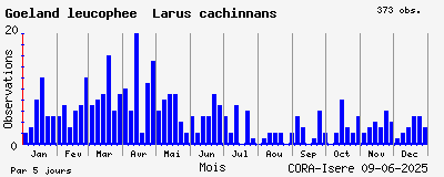 Observations saisonnires (par 5 jours) de Goéland leucophée Larus cachinnans
