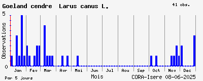 Observations saisonnires (par 5 jours) de Goéland cendré Larus canus L.