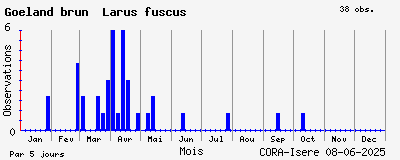 Observations saisonnires (par 5 jours) de Goéland brun Larus fuscus