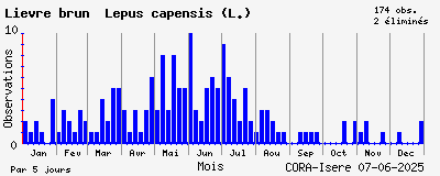 Observations saisonnires (par 5 jours) de Lièvre brun Lepus capensis (L.)