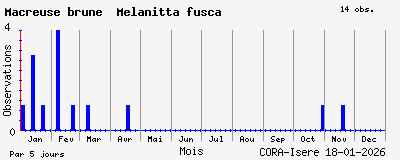 Observations saisonni�res (par 5 jours) de Macreuse brune Melanitta fusca