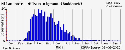 Observations saisonnires (par 5 jours) de Milan noir Milvus migrans (Boddaert)