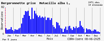 Observations saisonnires (par 5 jours) de Bergeronnette grise Motacilla alba L.