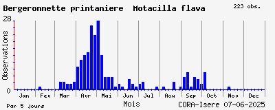 Observations saisonnires (par 5 jours) de Bergeronnette printanière Motacilla flava