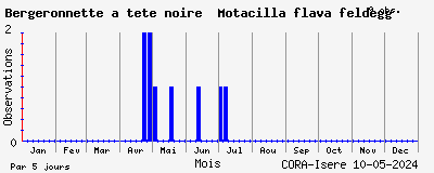 Observations saisonnires (par 5 jours) de Bergeronnette à tête noire Motacilla flava feldegg