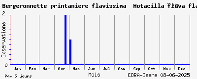 Observations saisonnires (par 5 jours) de Bergeronnette printanière flavissima Motacilla flava flavissima