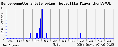 Observations saisonnires (par 5 jours) de Bergeronnette à tête grise Motacilla flava thunbergi
