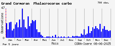 Observations saisonnires (par 5 jours) de Grand Cormoran Phalacrocorax carbo