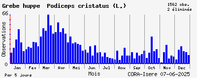 Observations saisonnires (par 5 jours) de Grèbe huppé Podiceps cristatus (L.)