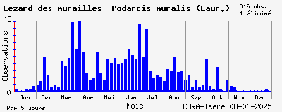 Observations saisonnires (par 5 jours) de Lézard des murailles Podarcis muralis (Laur.)