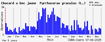 Observations saisonnires (par 5 jours) de Chocard à bec jaune Pyrrhocorax graculus (L.)