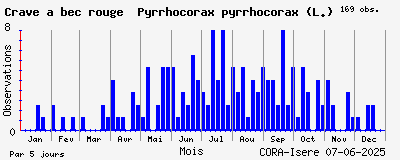 Observations saisonnires (par 5 jours) de Crave à bec rouge Pyrrhocorax pyrrhocorax (L.)