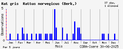 Observations saisonnires (par 5 jours) de Rat gris Rattus norvegicus (Berk.)