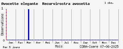 Observations saisonnires (par 5 jours) de Avocette élégante Recurvirostra avosetta