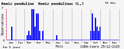Observations saisonni�res (par 5 jours) de R&eacute;miz penduline Remiz pendulinus (L.)