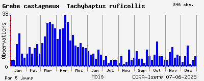 Observations saisonnires (par 5 jours) de Grèbe castagneux Tachybaptus ruficollis