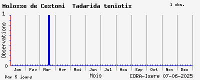 Observations saisonnires (par 5 jours) de Molosse de Cestoni Tadarida teniotis