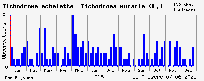 Observations saisonnires (par 5 jours) de Tichodrome échelette Tichodroma muraria (L.)